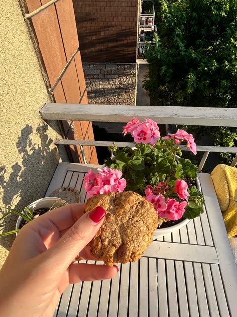 Biscotti vegani senza zucchero senza burro senza uova ai datteri e avena